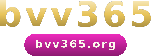 bvv365 logo